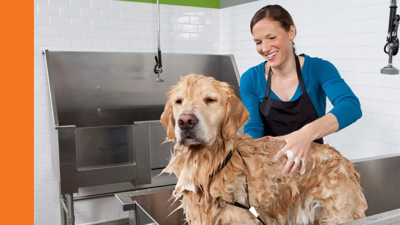 How-petbar-Makes-Pets-and-Their-Owners-Happy-as-Part-of-the-Family-in-a-Clean-and-Fun-Environment