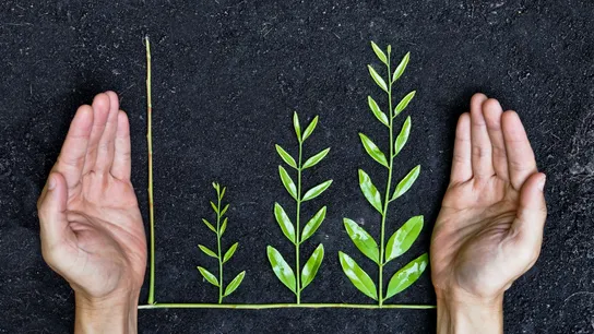 sustainable growth