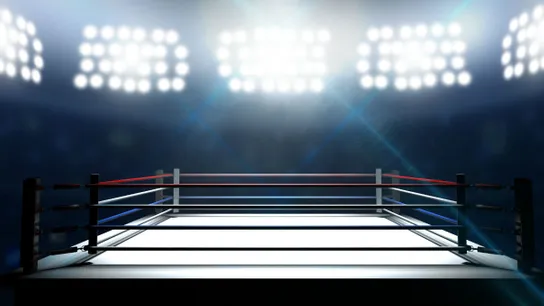 franchising boxing ring
