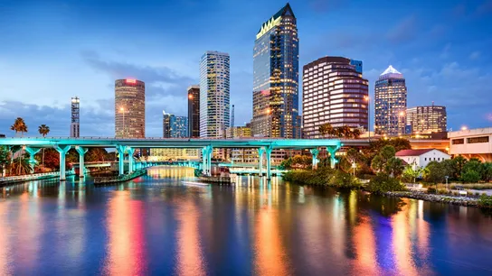 mcalister's tampa