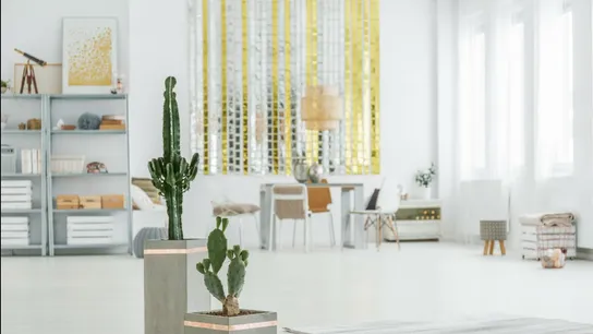 Showhomes