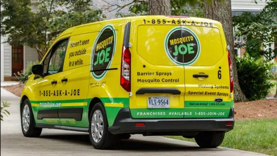 Mosquito Joe