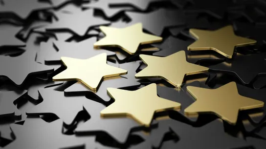 franchise business review