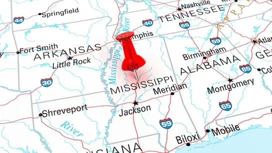 Mississippi Mosquito Joe