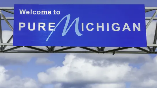 Mosquito Joe Michigan