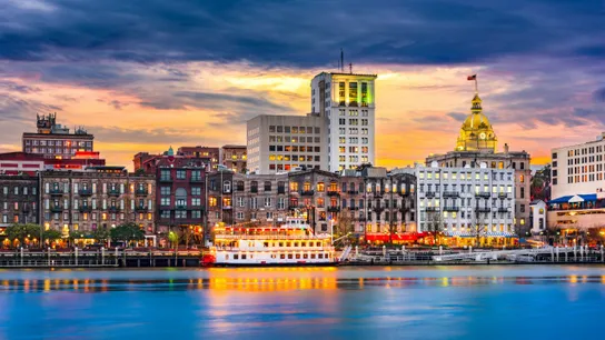 Savannah Mosquito Joe