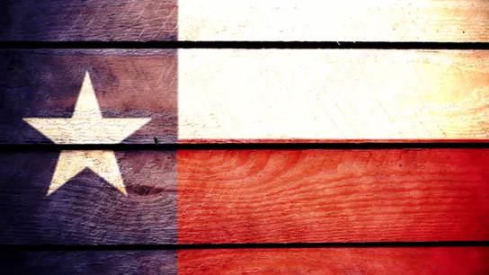 Top Franchises in Texas