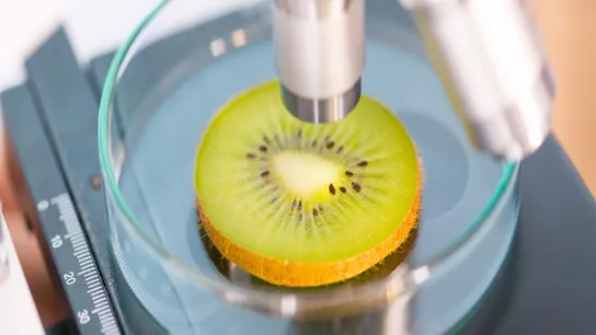 Smoothie King Food Scientist