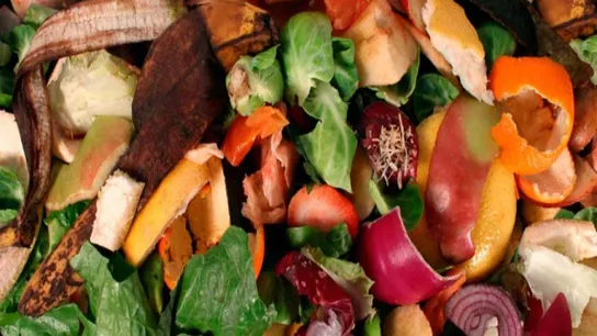 food waste, compost