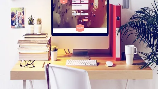 Franchise websites 