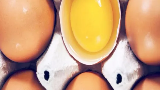 eggs