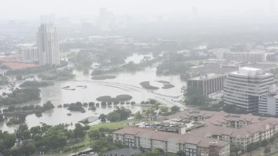 hurricane harvey houston