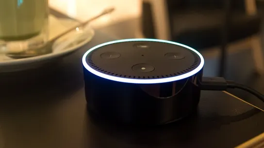 voice activation for ordering