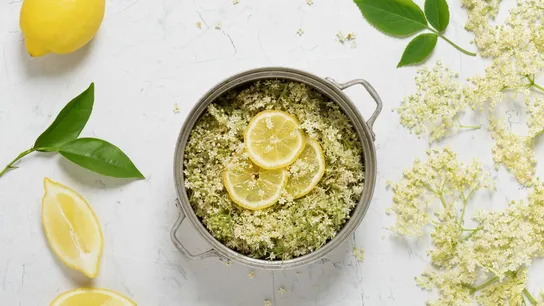 Elderflower