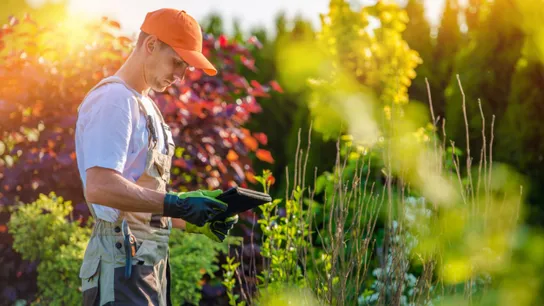 What Service Brands Look for in Prospective Franchisees