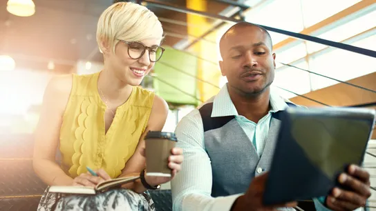 Franchisees, Entrepreneurs