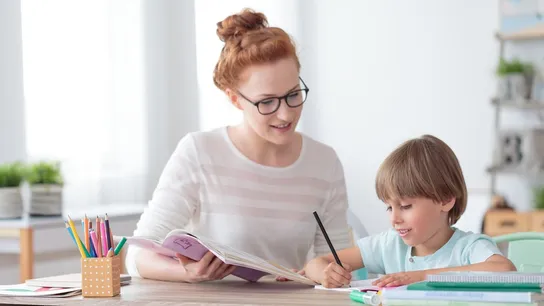Tutor Doctor one-to-one tutoring and customized supplemental education