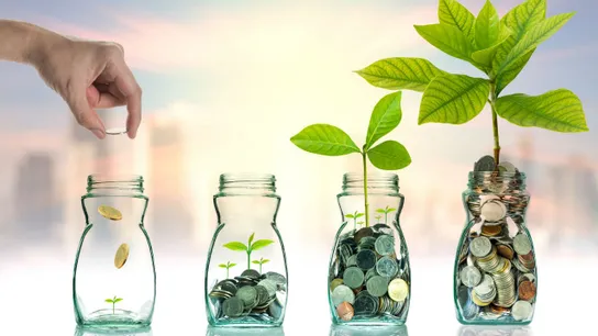Investment Growth
