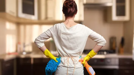 Molly Maids
