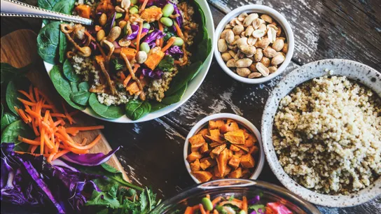 Plant-Based Protein