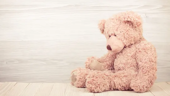Mashable: Build-A-Bear’s ‘Pay Your Age’ Promotion Goes Awry