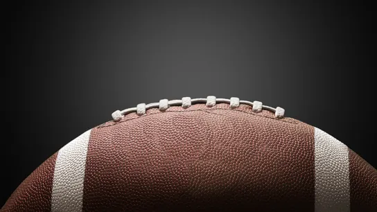 Seattle Seahawks