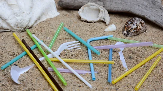 Plastic Straws