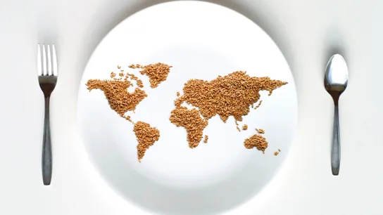 Global Food Consumption, Food consumption trends, China, Africa, India