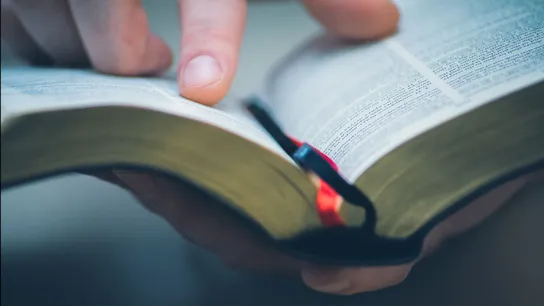 Bible