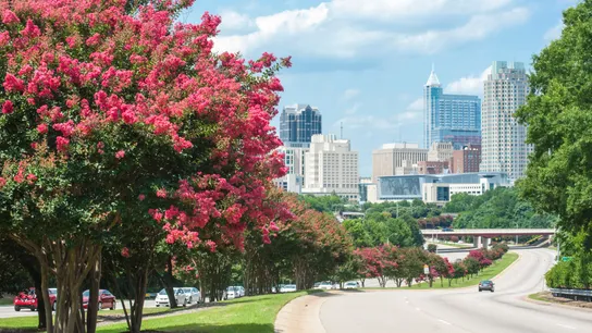 Raleigh
