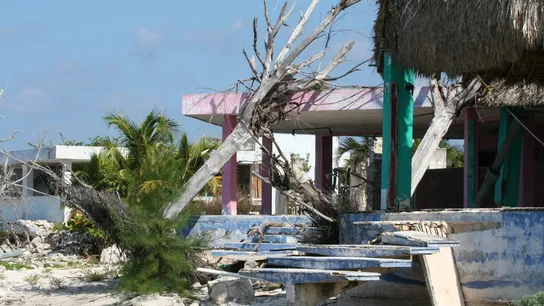 Florida Store Operators Gear Up for Longterm Recovery Efforts in Wake of Hurricane Michael