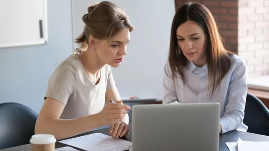 Mentor Employee