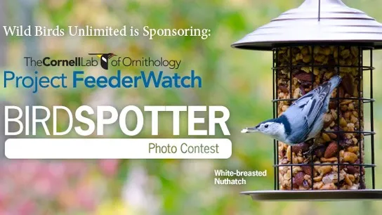 Wild Birds Unlimited