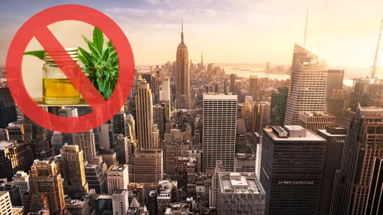CBD, cannabidiol, new york city, new york, restaurants, CBD restaurants, NYC, NYC restaurants