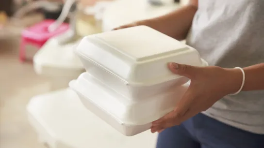 Foam Containers