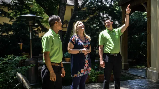Lime Painting Franchise luxury homes
