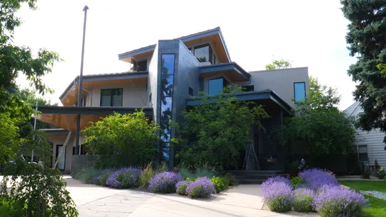 Lime Painting Franchise House