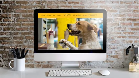 mutts canine cantina, dog, friendly, pet, patio, policy, franchise, bar