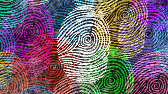 Data Privacy, Franchising