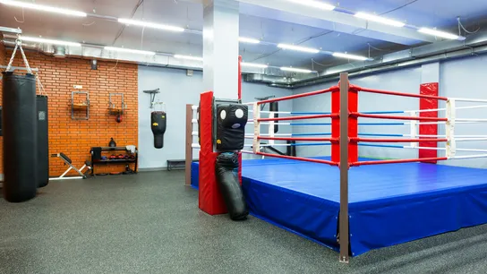 Boxing Franchise
