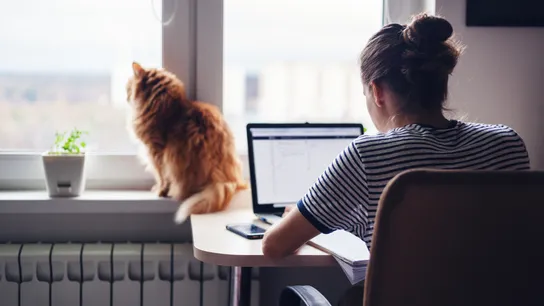 Work From Home