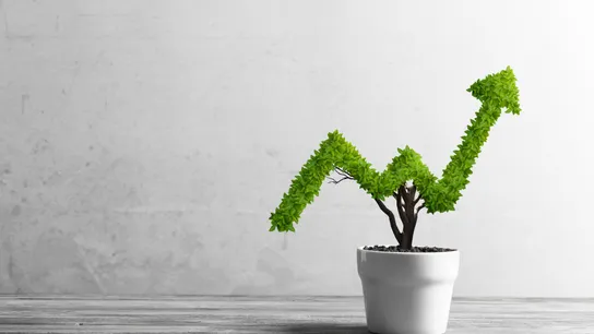 Franchise Growth