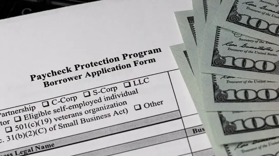 PPP Fraud