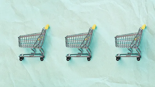 franchise sales