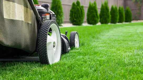lawn care franchise