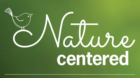 wild birds unlimited