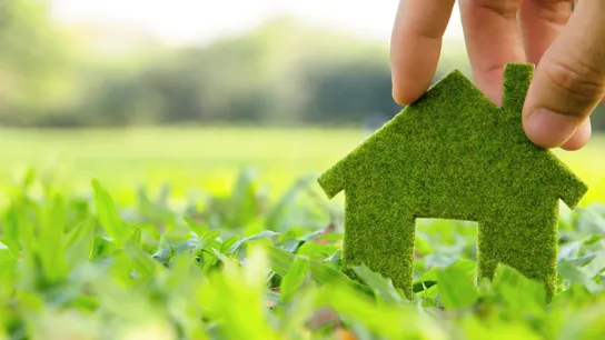 Green Home Builders