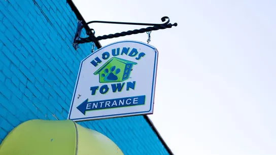 hounds town usa
