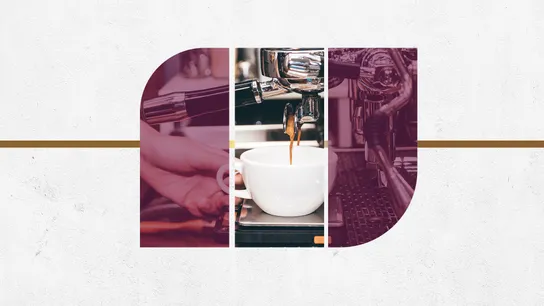 Cafe Franchises