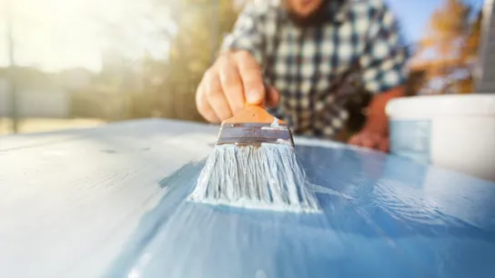360° Painting Franchise